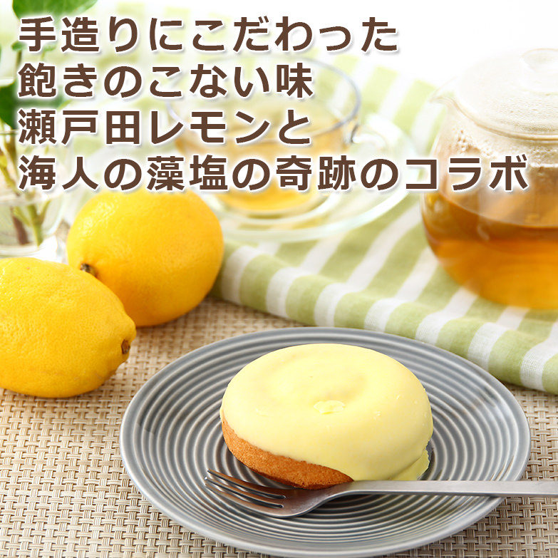 広島塩レモン１２個セット